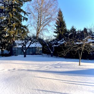 Vinter i Hagen